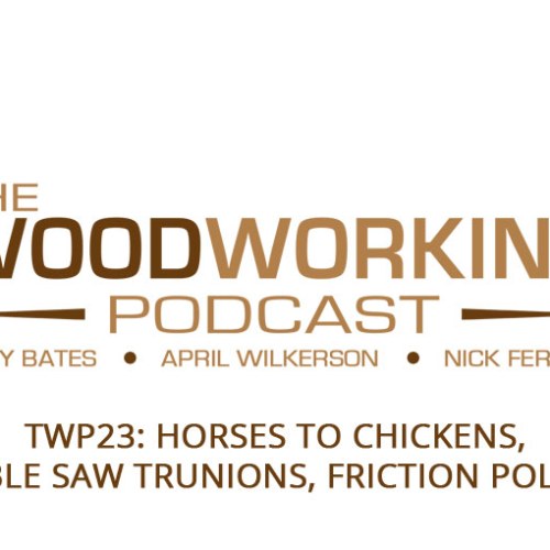 TWP23: Horses to Chickens, Table Saw Trunions, Friction Polish